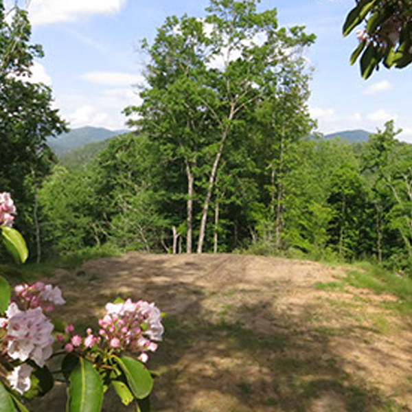 Buy NC Land Site #2