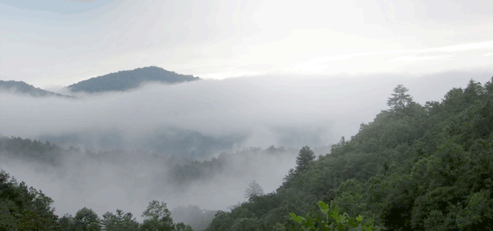 North Carolina - view2