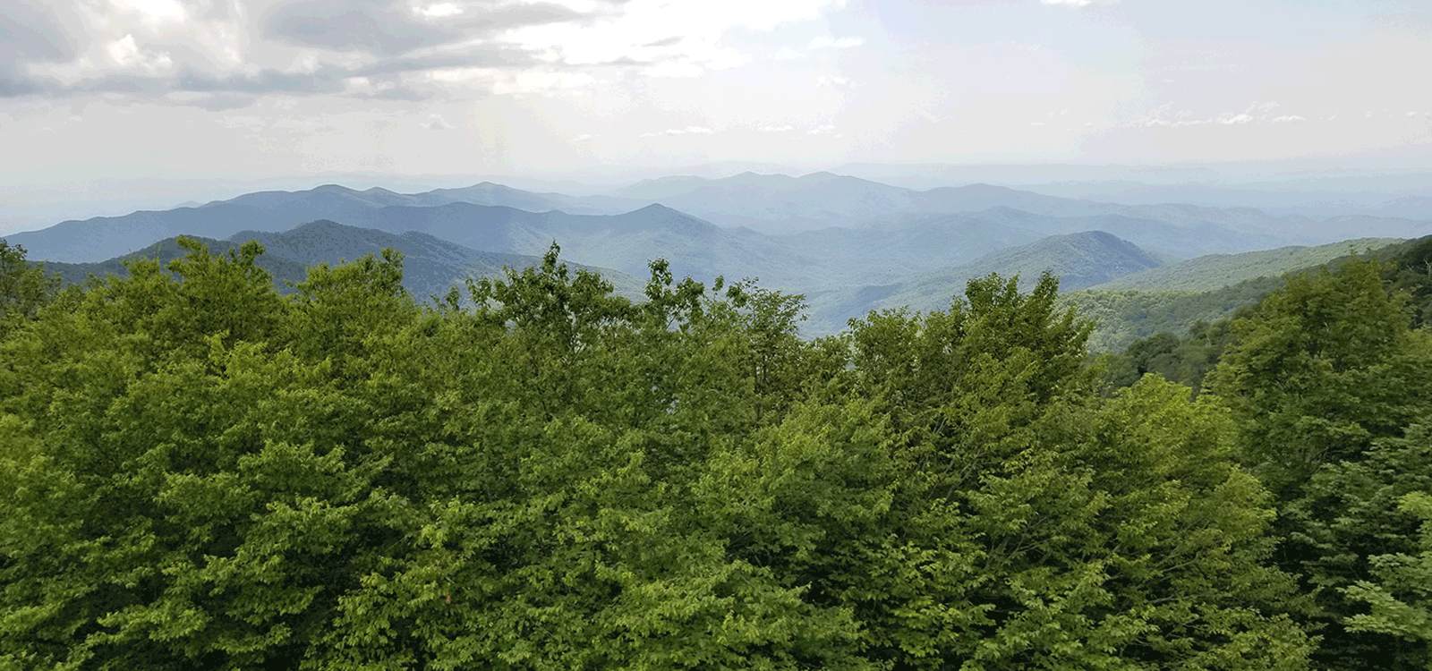 North Carolina - view